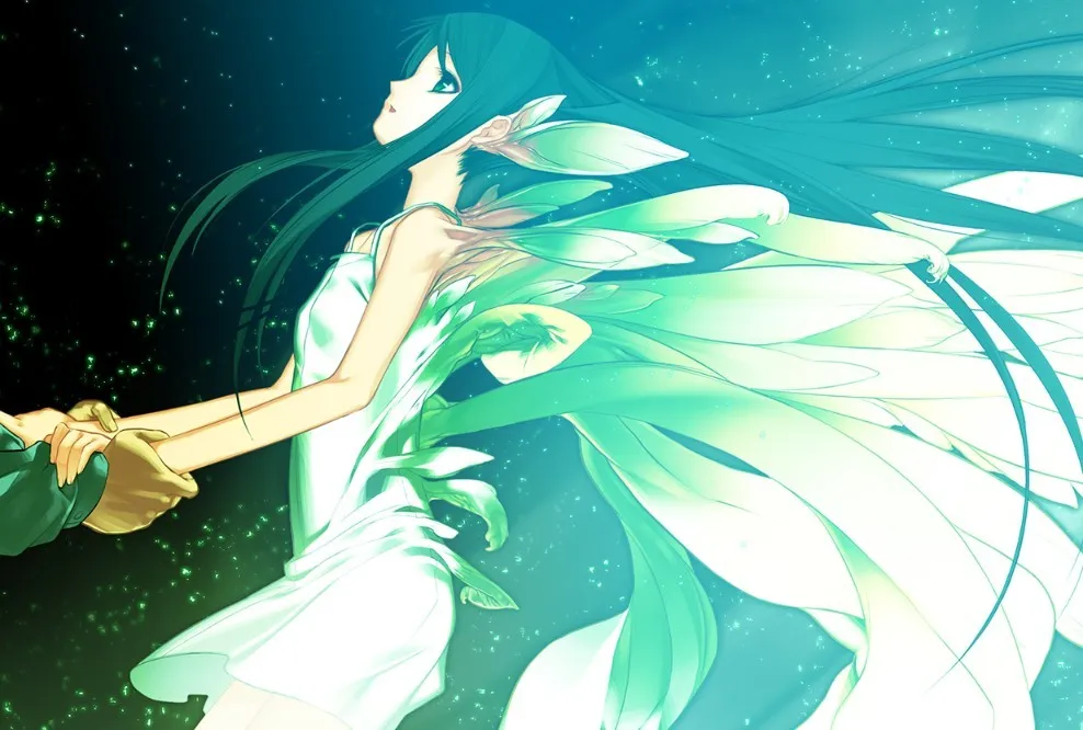 ɳҮ֮��2026�ٷ�����