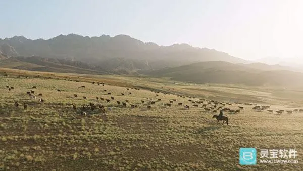 全聚合TV最新手机版 全聚合TV最新手机版