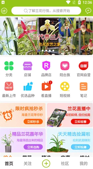 兰花交易网(兰花交易平台) 兰花交易网(兰花交易平台)