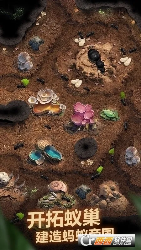 The Ants(СС�Ϲ���Ϸ)v3.87.0 �ٷ������ͼ