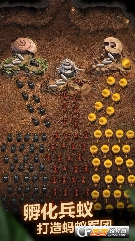 The Ants(СС�Ϲ���Ϸ)v3.87.0 �ٷ������ͼ