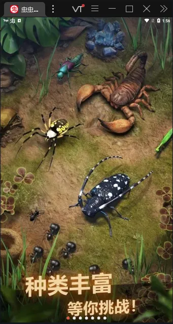 The Ants(СС�Ϲ���Ϸ)