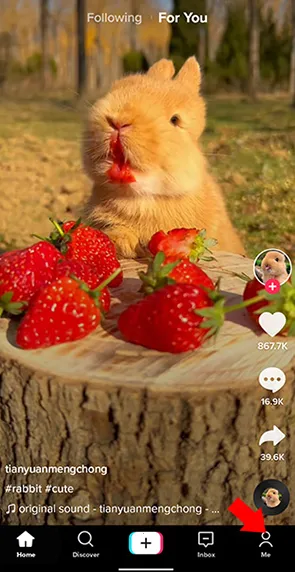 tiktok(破解版短视频) tiktok(破解版短视频)