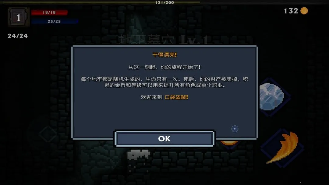 口袋盗贼(地牢冒险游戏) 口袋盗贼(地牢冒险游戏)