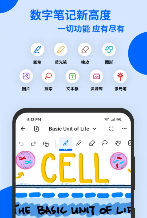 Notewise2026官方最新版本 Notewise2026官方最新版本