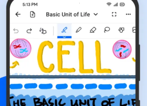 Notewise2026官方最新版本 Notewise2026官方最新版本
