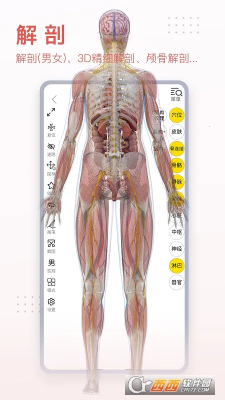 3dbody�������İ�v8.8.72 �ֻ����ͼ