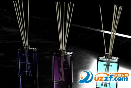 Ѽ������(Ѽ�ӽ�����Ϸ)