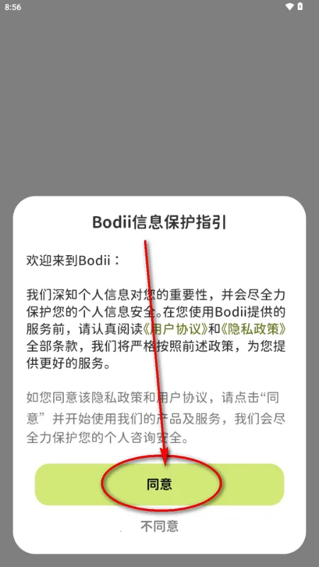 Bodii��������