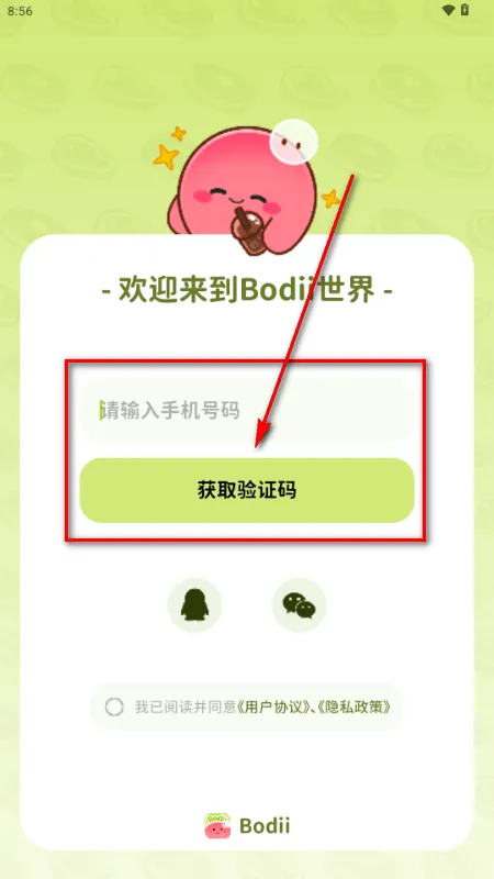 Bodii��������(��֬����Ӧ��)