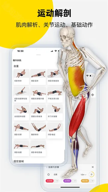 3Dbody����(ҽѧ����ѧϰ����)