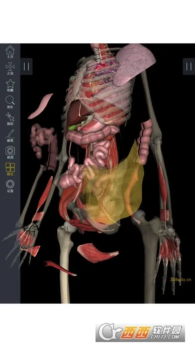 3Dbody����(ҽѧ����ѧϰ����)v1.25 ��Ѱ��ͼ