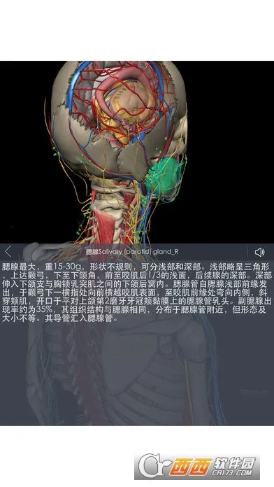 3Dbody����(ҽѧ����ѧϰ����)v1.25 ��Ѱ��ͼ