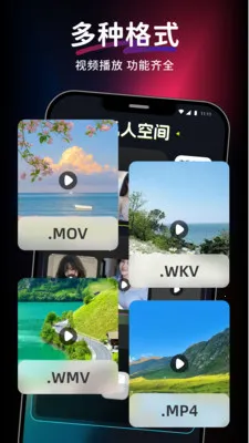 ������Ƶ��Ѳ�����(��Ƶ���Ź���)v1.0.0 �ٷ������ͼ