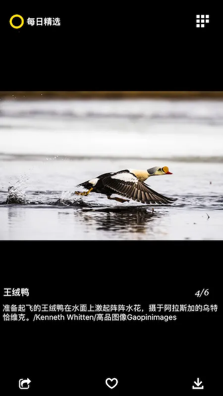 ÿ�վ�ѡ(����Ӱ��չʾ)v3.0.7 �ٷ������ͼ