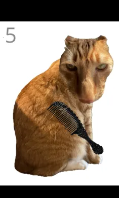 ��è��ë(è��ë������Ϸ)v1.0 �ֻ����ͼ