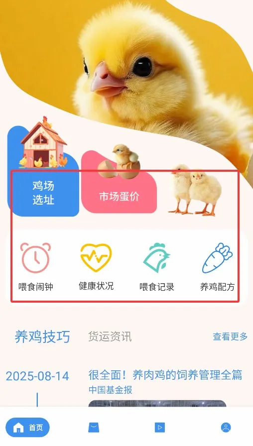 ������(��������app)