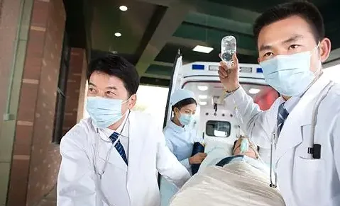 ��������2026���°汾