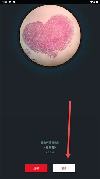 �����������ֻ���