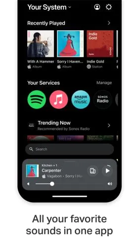 Sonos(�����������)