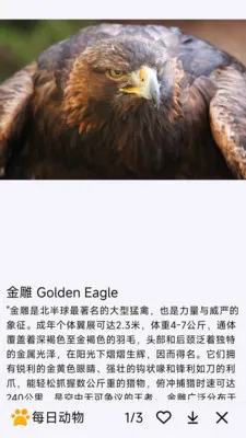 ÿ�ն���2026�ٷ����°汾v1.0.0 �ֻ����ͼ