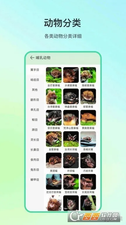 ����ٿ�2026���°汾v4.1.7 �ֻ����ͼ