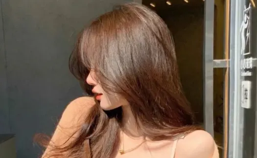 �������������ֻ���
