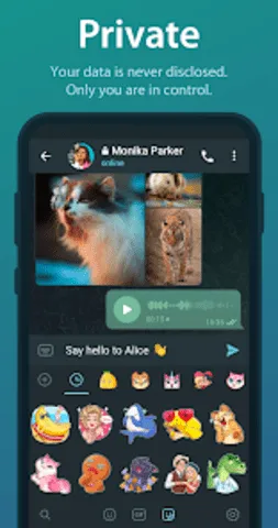 telegreat��������v12.0.1 ��Ѱ��ͼ
