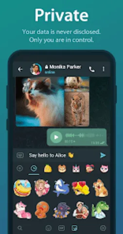 telegreat���İ�����v12.0.1 �ֻ����ͼ