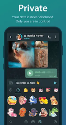 telegreat���Ĺٷ���v12.0.1 �ֻ����ͼ