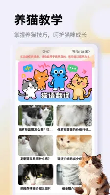 ����è��app2026���°汾v1.4 �ٷ������ͼ