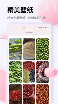 K��2026���°汾v1.0.0 ��Ѱ��ͼ