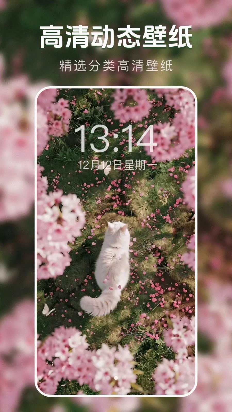 ��̬�����ֽ��(��ֽ����Ӧ��)v1.0.0 ��׿���ͼ