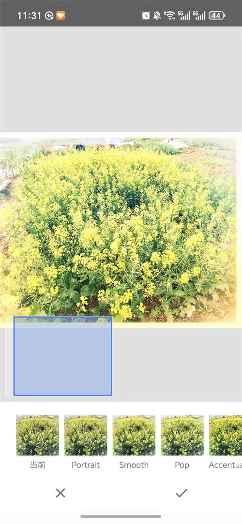 BetterSeed2026���°汾v2.22.0.633363672 �ٷ������ͼ