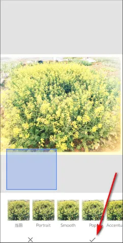 BetterSeed2026最新版本