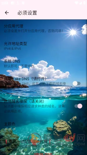 Ѳ��˽��2026���°汾
