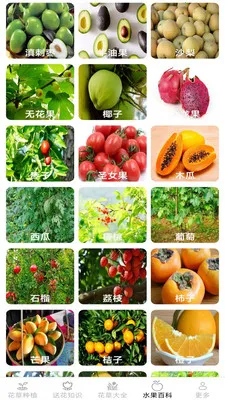 �ͷ׻���2026�ٷ����°汾v2.7.2.3 ��׿���ͼ