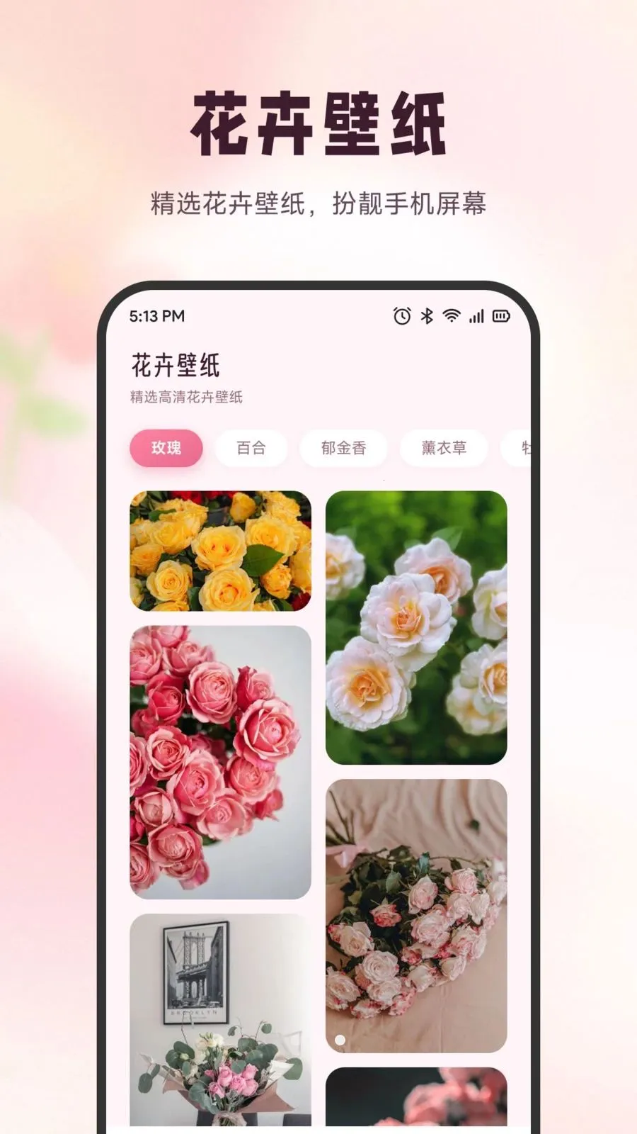 ѩ�ڻ���2026���°汾v1.6 �ֻ����ͼ