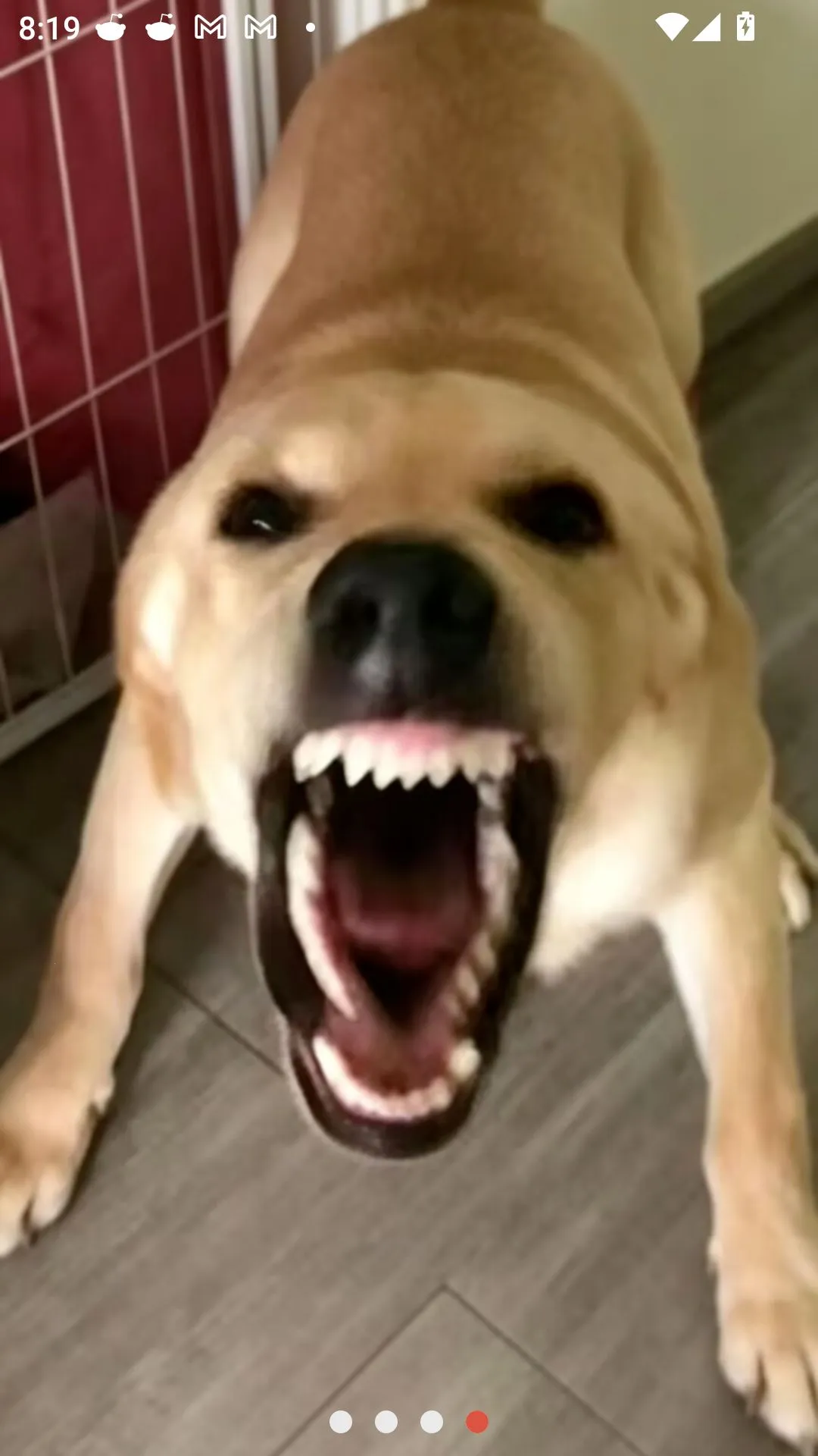 �󹷽���Ϸ������ư�(������ģ����Ϸ)v1.1 ��Ѱ��ͼ