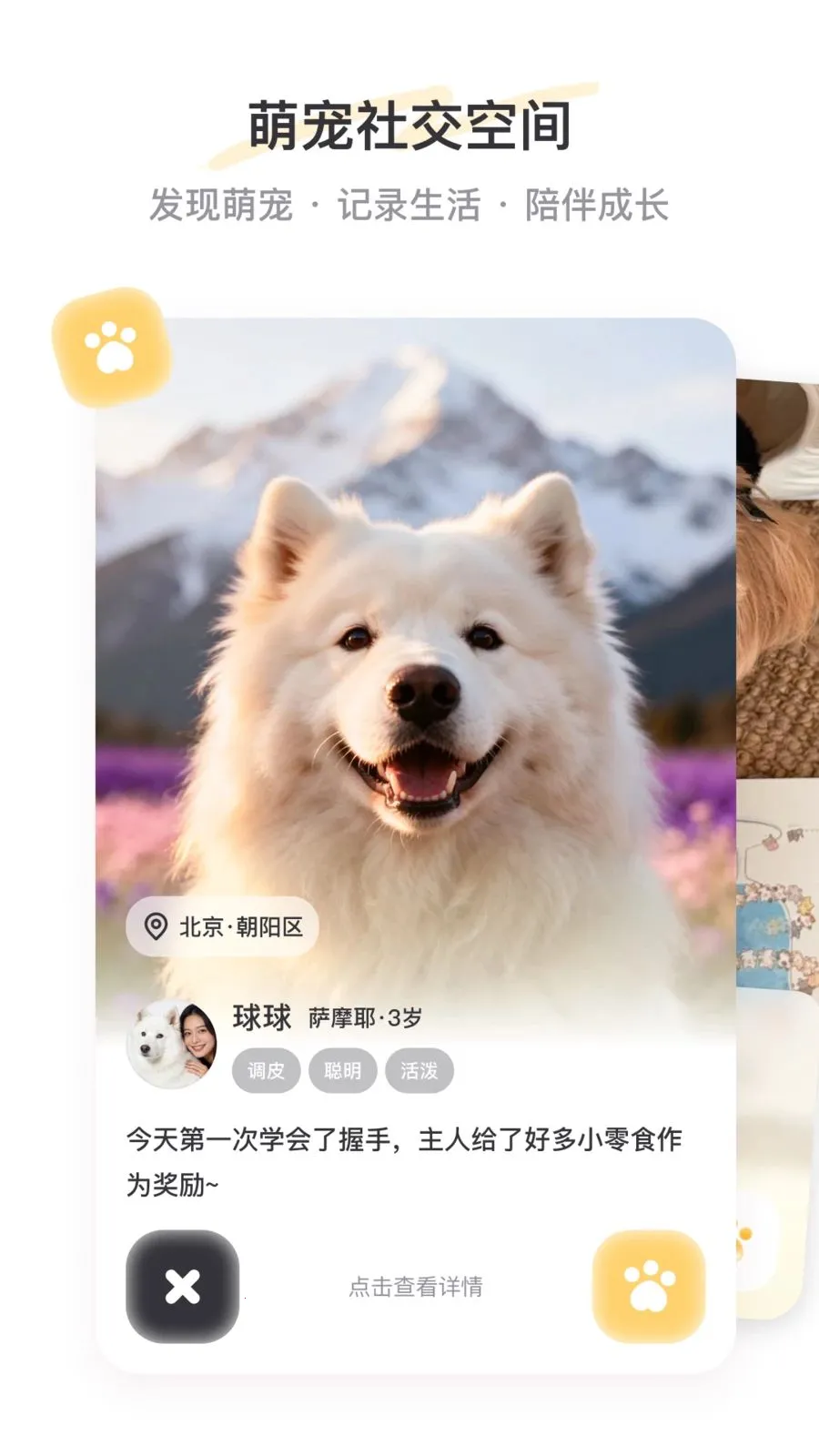PetSpace(�ȳ��罻ƽ̨)v2.3.1 �ٷ������ͼ