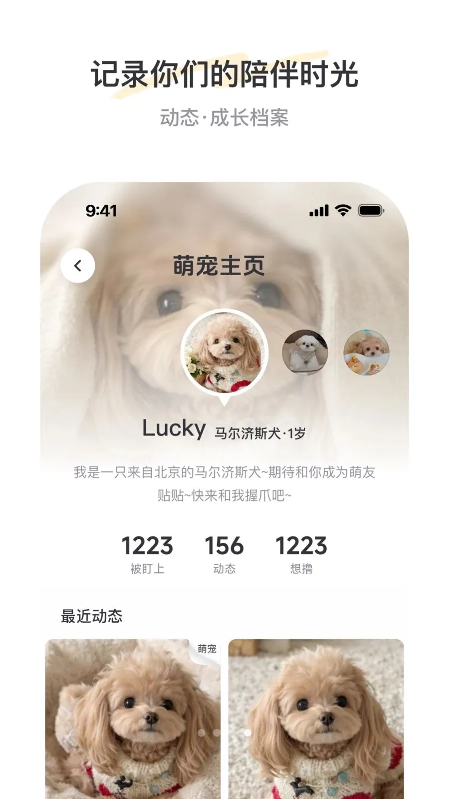 PetSpace(�ȳ��罻ƽ̨)v2.3.1 �ٷ������ͼ
