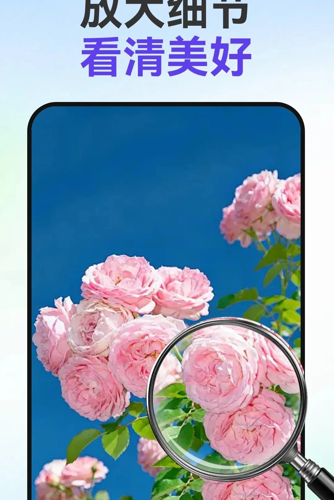 С�ַŴ�2026�ٷ����°汾v1.0.1 ��׿���ͼ