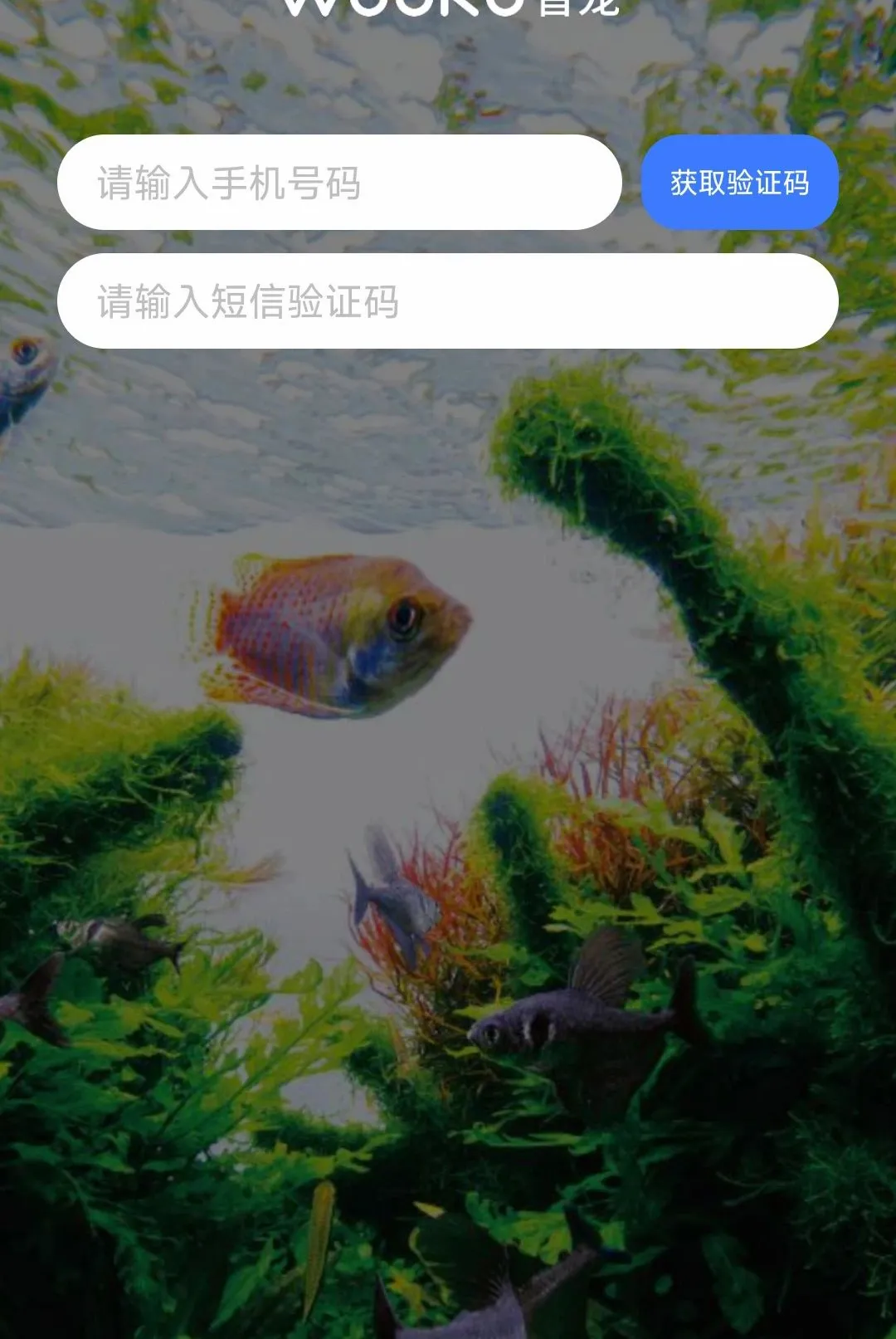 WOOKU�ǳ������ֻ���v1.0.29 ��׿���ͼ