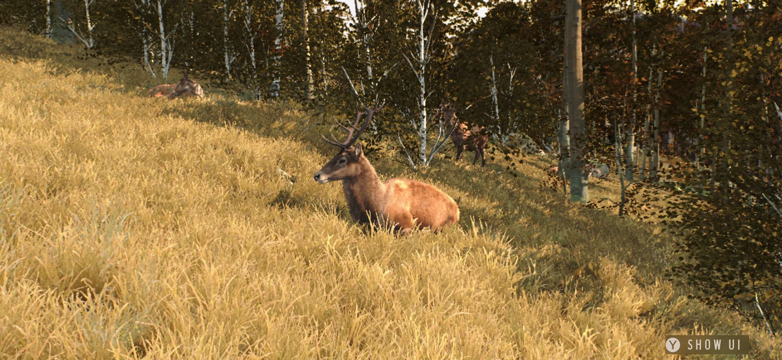 ����֮·��Ұŷ����Ϸ(����ð����Ϸ)v1.0.12 �ֻ����ͼ
